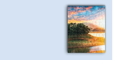 Canvas Prints