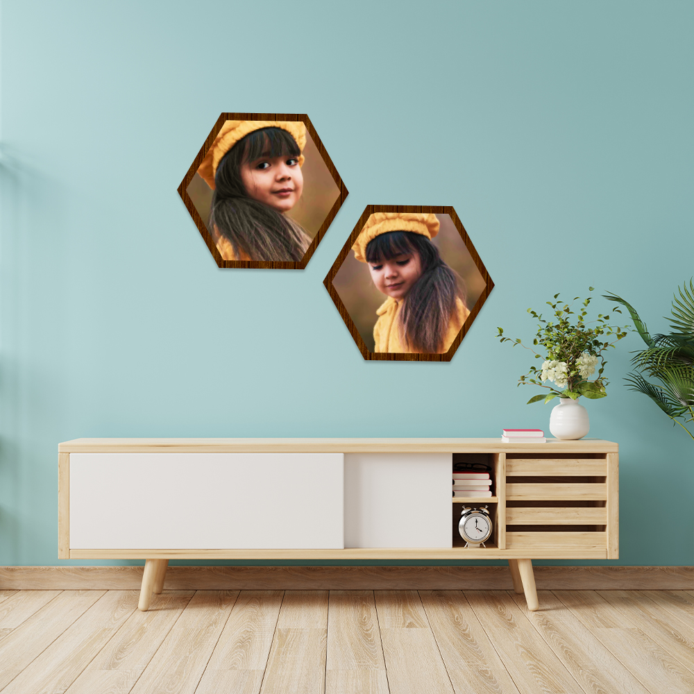 Hexagon 2 Panel Canvas