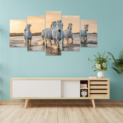 Split Canvas 5 Panel Wall Decor Print