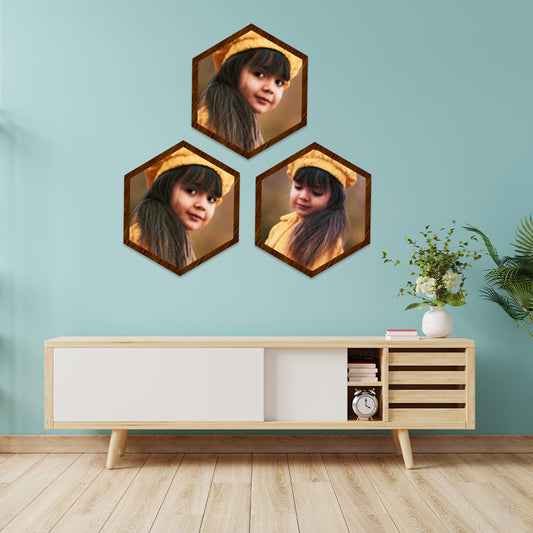 Hexagon 3 Panel Canvas